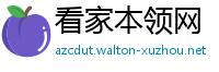 看家本领网